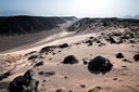 landschap